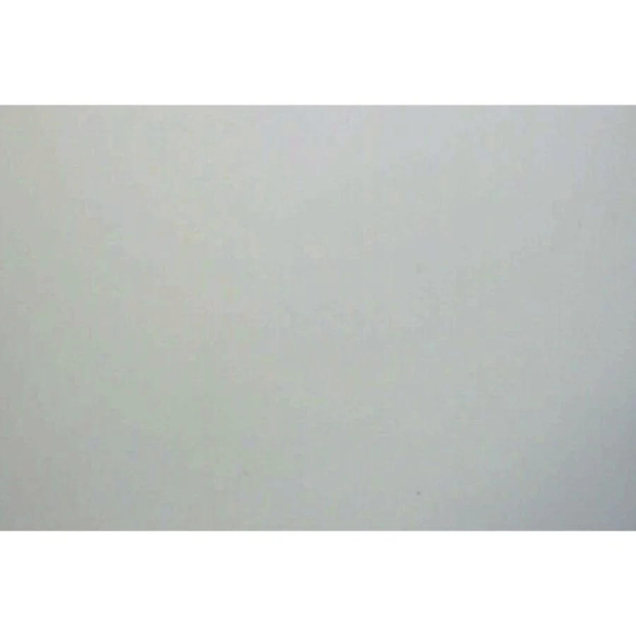 Molly går til hvalpetræning af Isabelle Halvarsson (Bog)