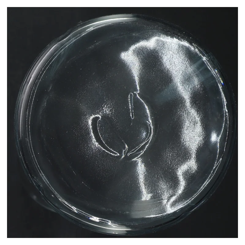 Glaskaraffel fra Rosendahl (str. 25 cm)