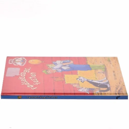 Fødselsdagsfesten af Steve Smallman (Bog)