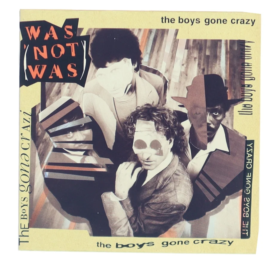 The Boys Gone Crazy (DVD)