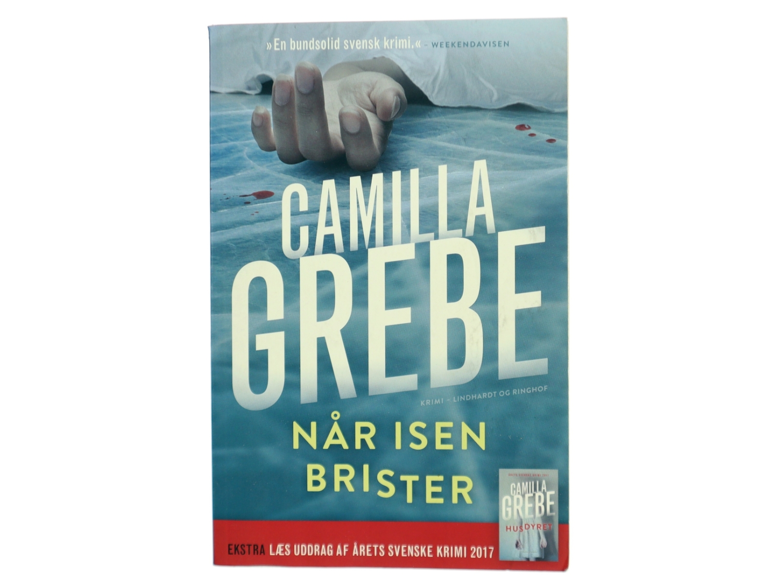Når isen brister af Camilla Grebe (Bog)