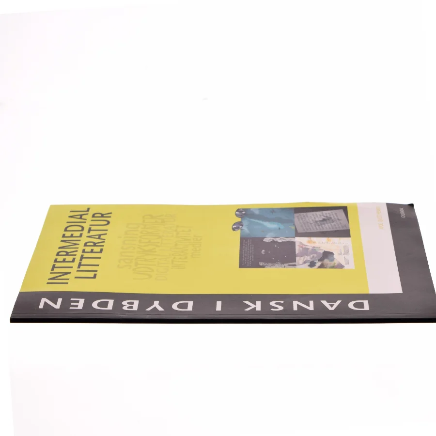 Intermedial litteratur : sansning, udtryksformer, digital litteratur, interaktivitet, medier af Ayoe Quist Henkel (Bog)