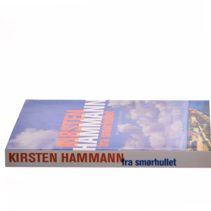 Fra smørhullet : roman af Kirsten Hammann (Bog)