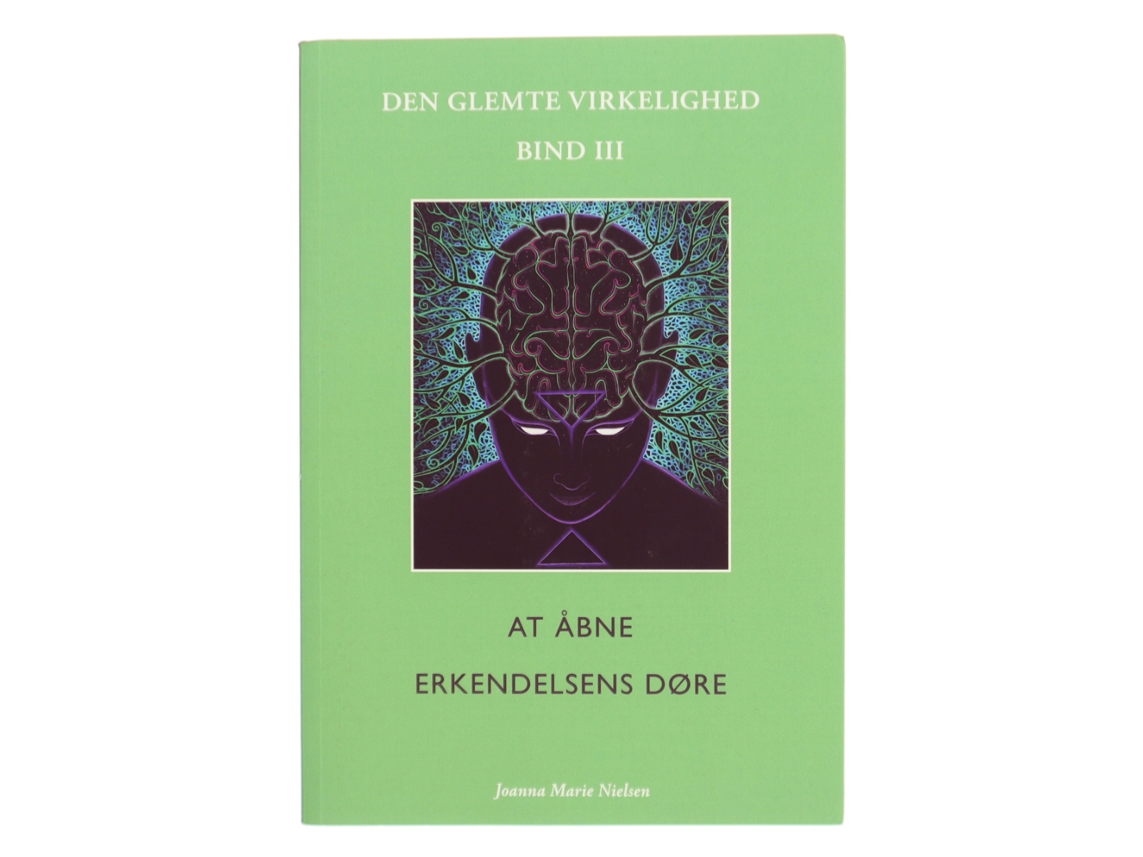 Den glemte virkelighed. Bind 3, At åbne erkendelsens døre af Joanna Marie Nielsen (f. 1977) (Bog)
