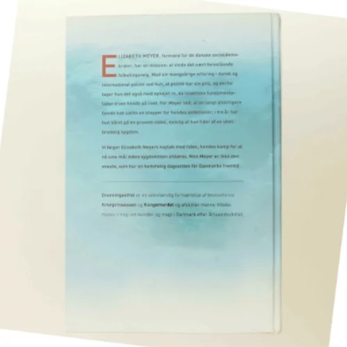 Dronningeofret af Hanne-Vibeke Holst