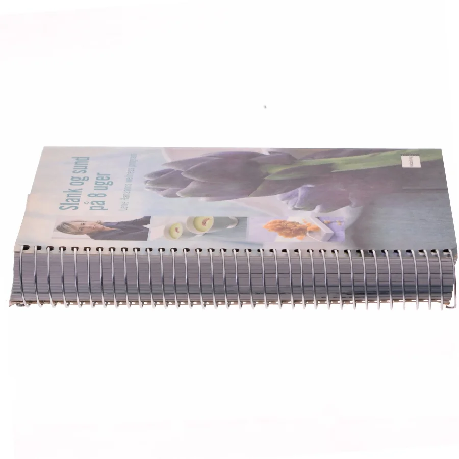 Slank og sund på 8 uger : Lene Hanssons wellness program af Lene Hansson (Bog)