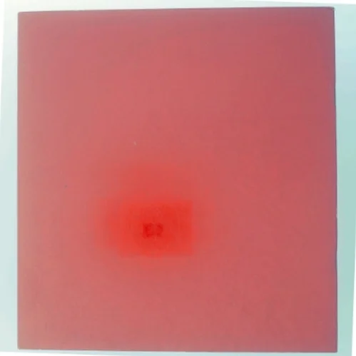 Kunstbog 'CHINA: 31 kinesiske kunstnere'