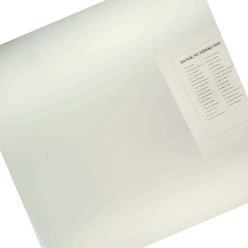 Bog om dansk nutidskunst