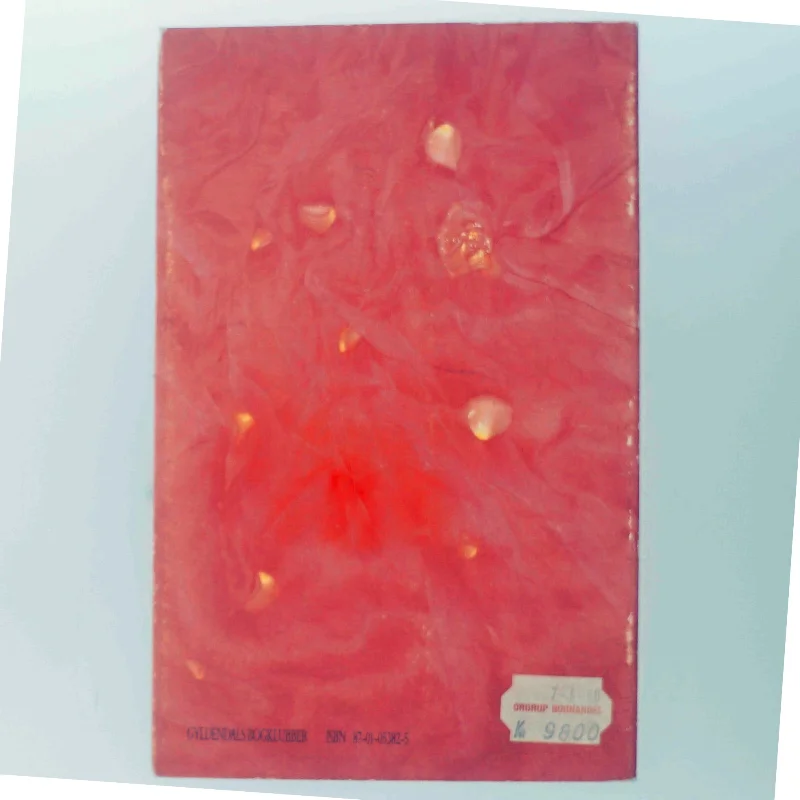 Bog 'Dit indre spejl' af Anne Dickson (Bog)