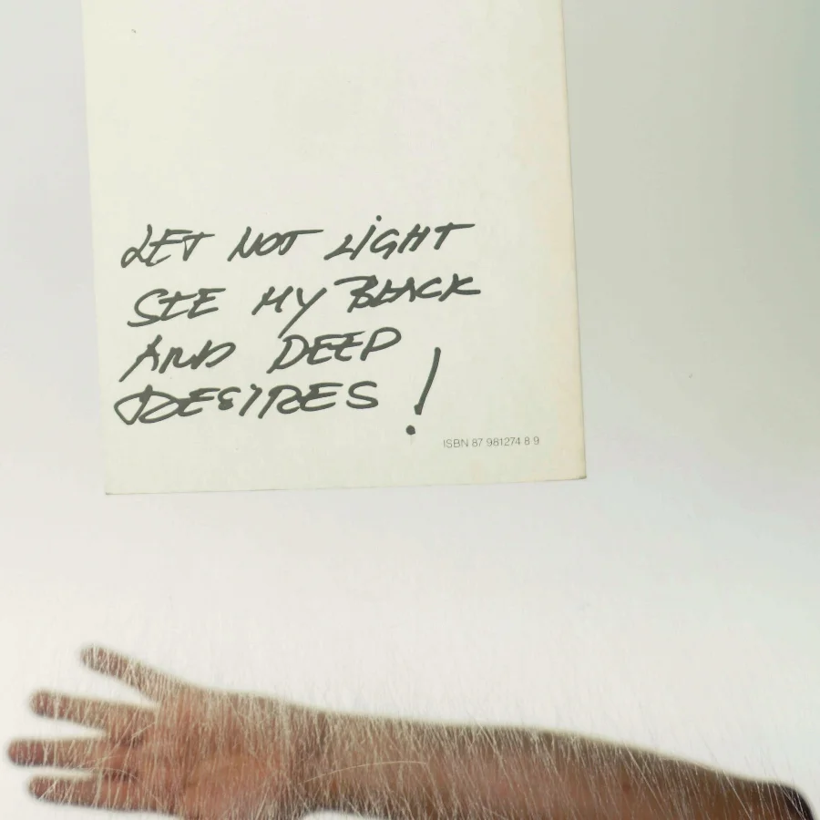 Stars, Hide your Fires!' af Anette Abrahamsson (Digtsamling)