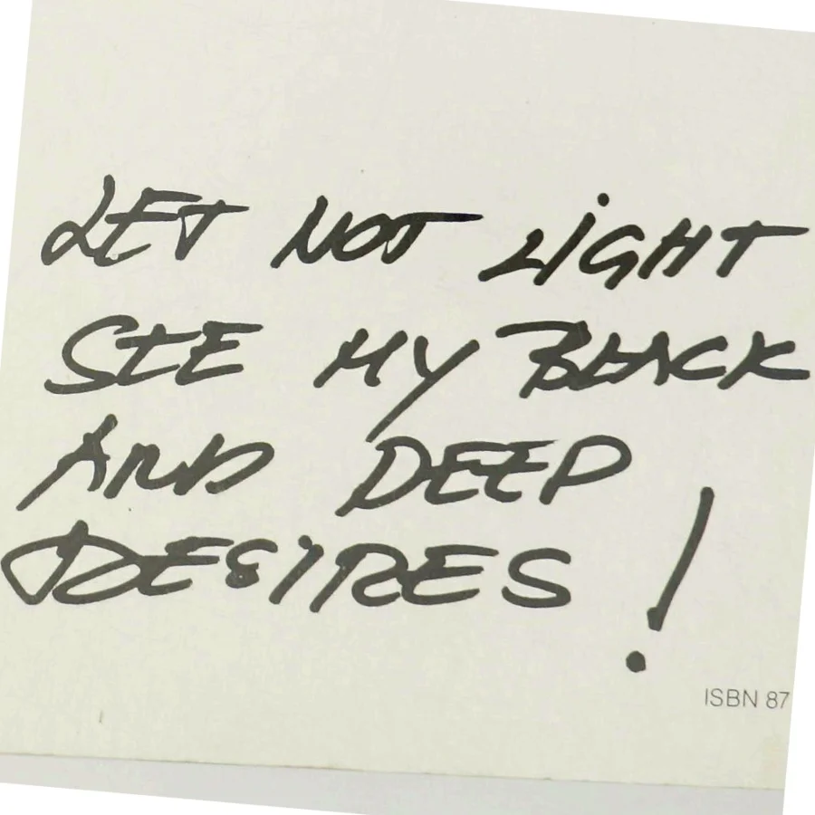 Stars, Hide your Fires!' af Anette Abrahamsson (Digtsamling)