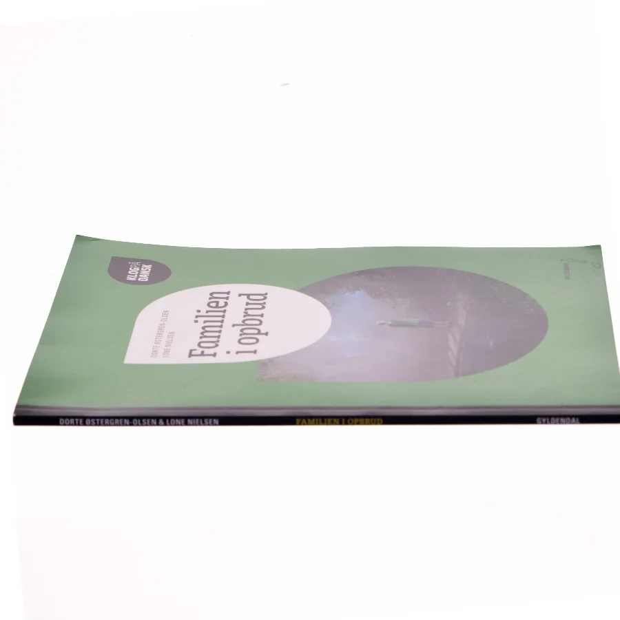Klog på dansk, Familien i opbrud af Dorte Østergren-Olsen (Bog)
