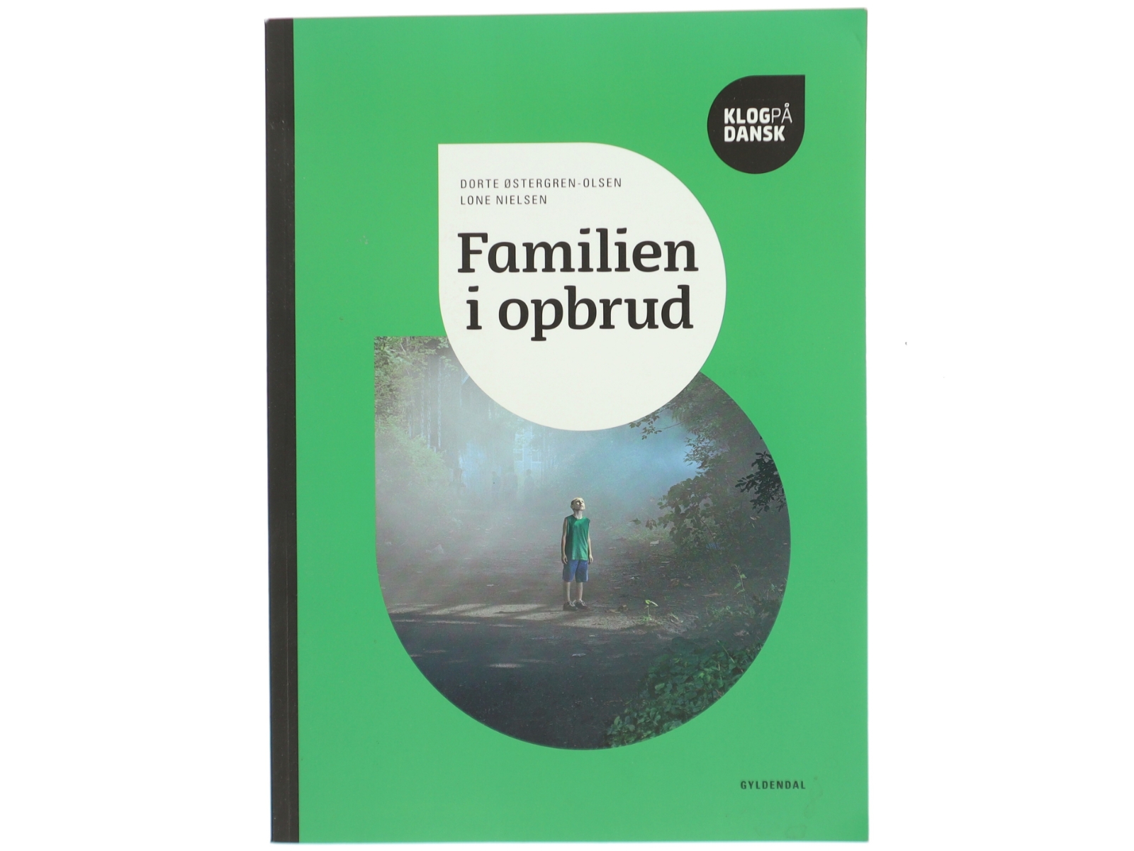 Klog på dansk, Familien i opbrud af Dorte Østergren-Olsen (Bog)