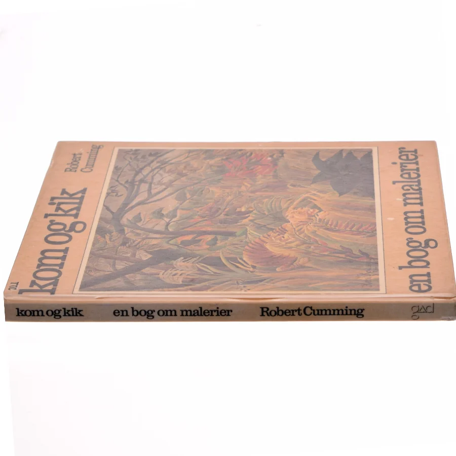 Kom og kig, en bog om malerier