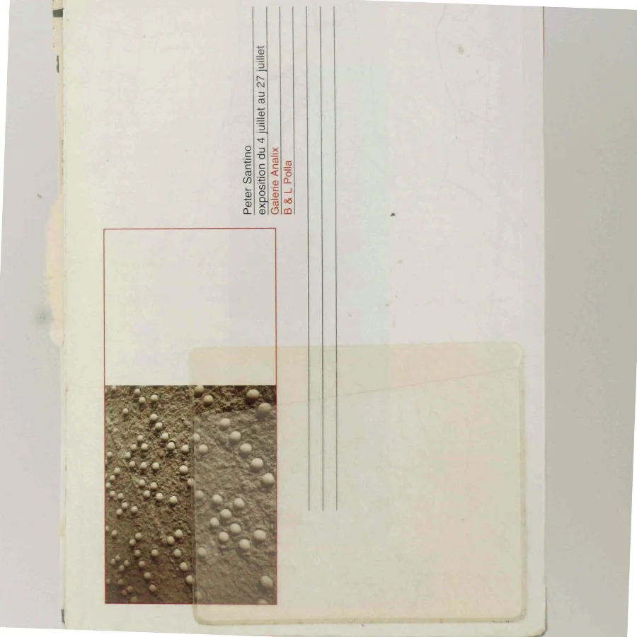 Vintage magasin 'Purple Prose'