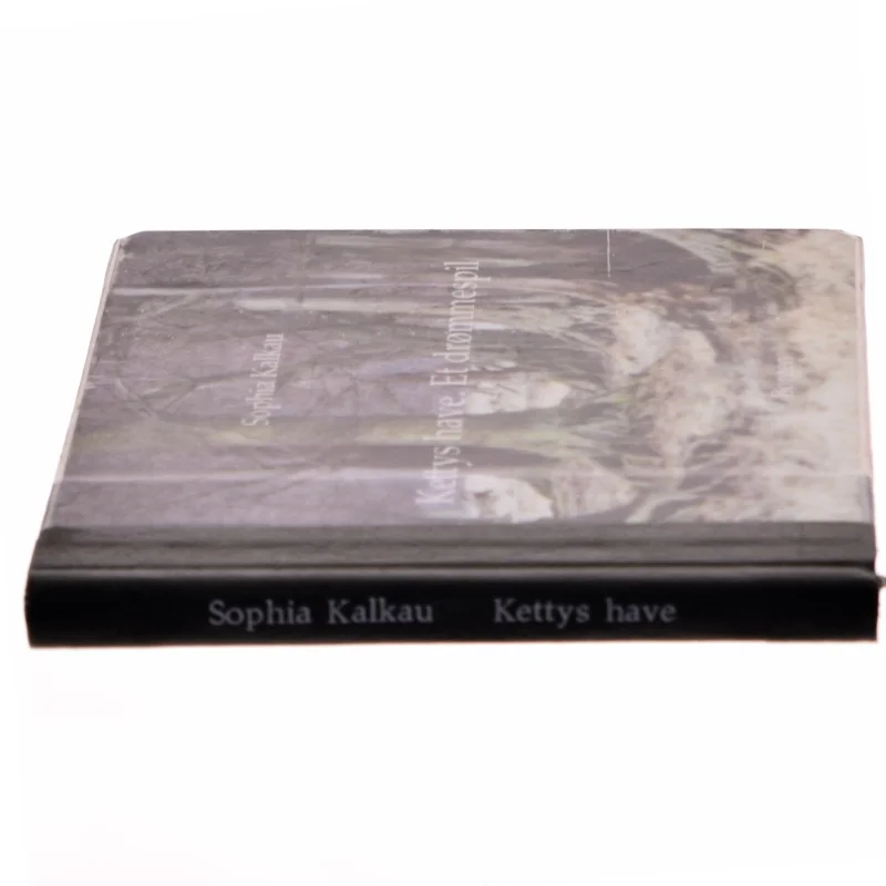 Kettys have - Et drømmespil