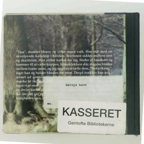 Kettys have - Et drømmespil