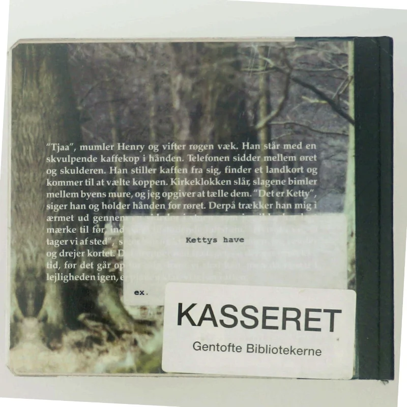 Kettys have - Et drømmespil