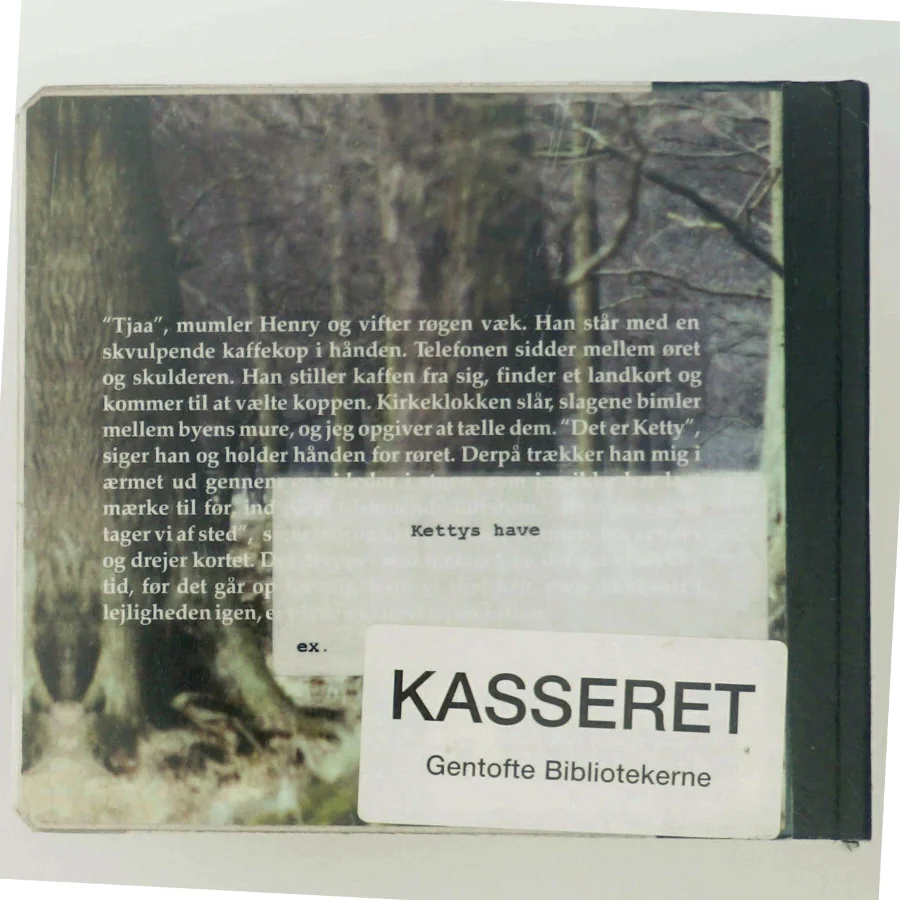 Kettys have - Et drømmespil