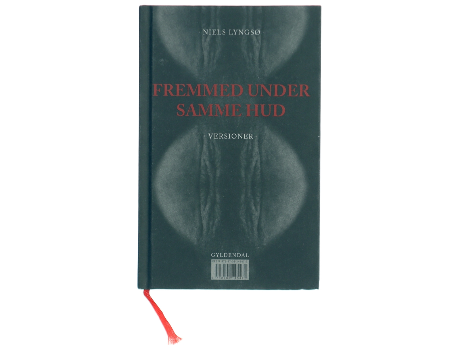 Fremmed under samme hud : versioner af Niels Lyngsø (Bog)