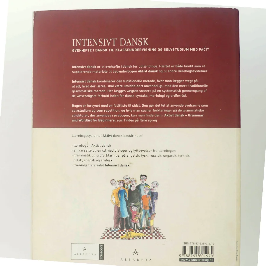Intensivt dansk : øvehæfte i dansk til klasseundervisning og selvstudium med facit af Lise Bostrup (Bog)