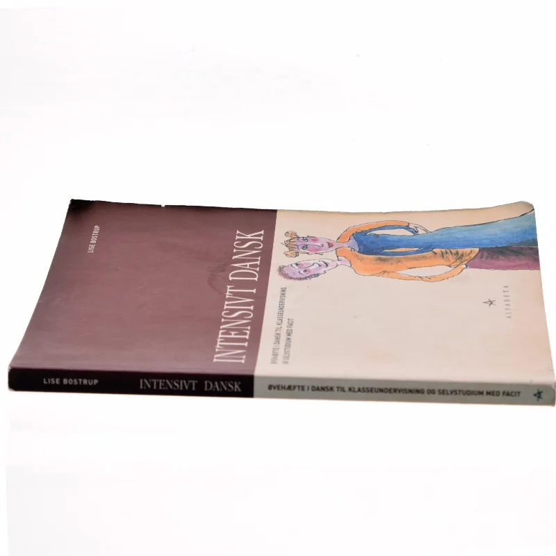 Intensivt dansk : øvehæfte i dansk til klasseundervisning og selvstudium med facit af Lise Bostrup (Bog)