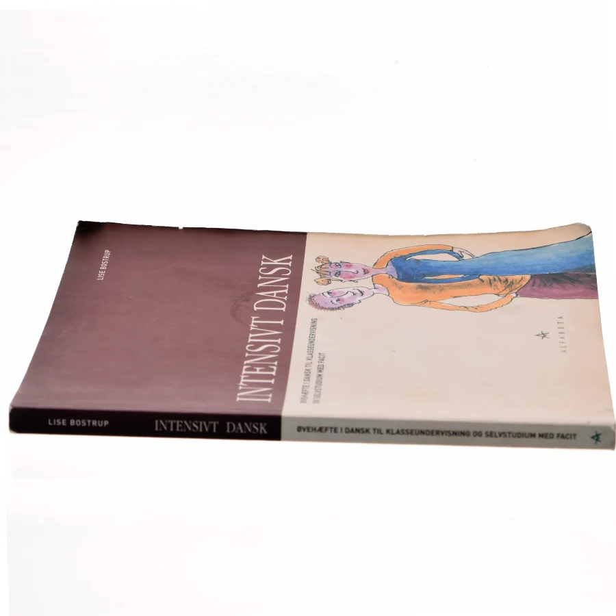Intensivt dansk : øvehæfte i dansk til klasseundervisning og selvstudium med facit af Lise Bostrup (Bog)