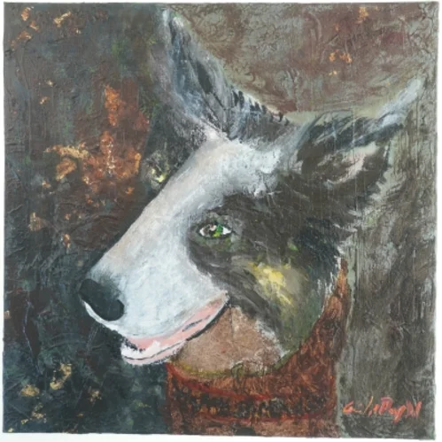 Maleri af hund (str. 50x50 cm)