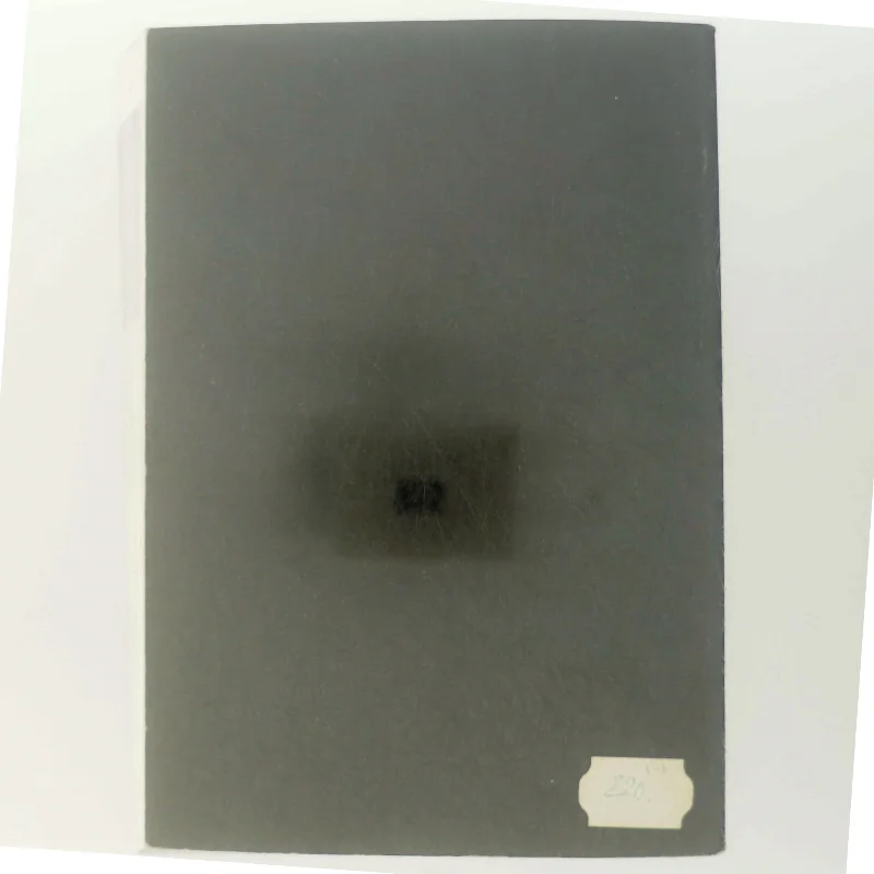 Videologier 2 af Lars Movin