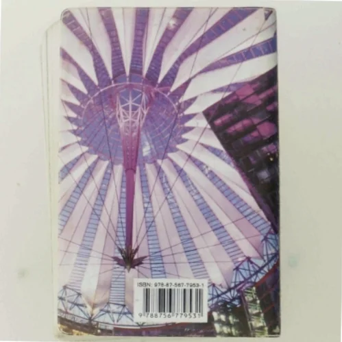 Politikens tysk-dansk, dansk-tysk (Bog)