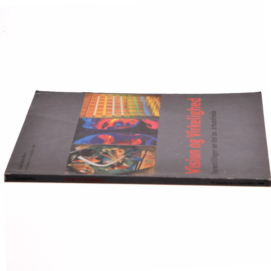 Vision og virkelighed : forestillinger om det 20. århundrede (Bog)
