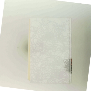 Hypnotisøren af Lars Kepler (Bog)