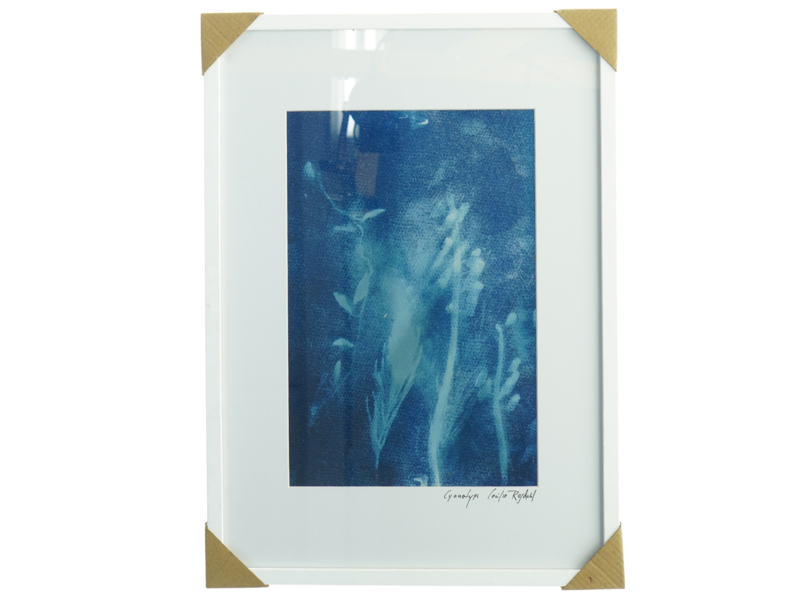 Indrammet kunsttryk (str. 43,5 x 31,5 cm)