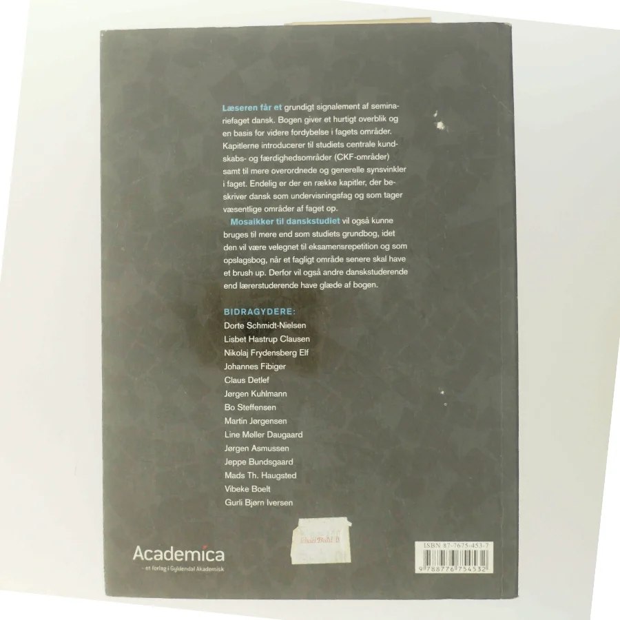 Mosaikker til danskstudiet : en grundbog (Bog)