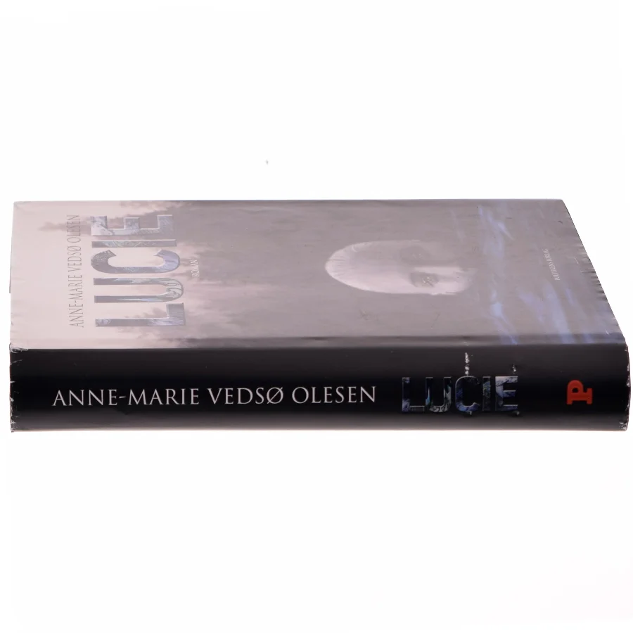 Lucie : roman af Anne-Marie Vedsø Olesen (Bog)