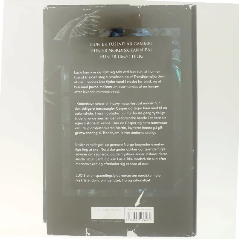 Lucie : roman af Anne-Marie Vedsø Olesen (Bog)