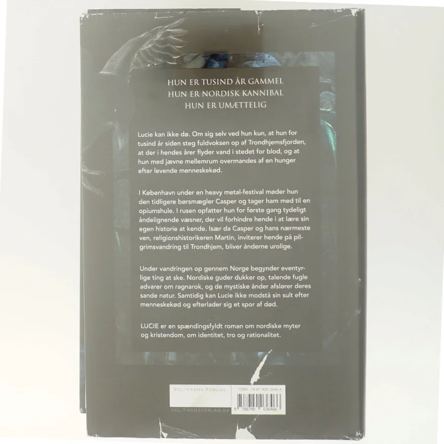 Lucie : roman af Anne-Marie Vedsø Olesen (Bog)