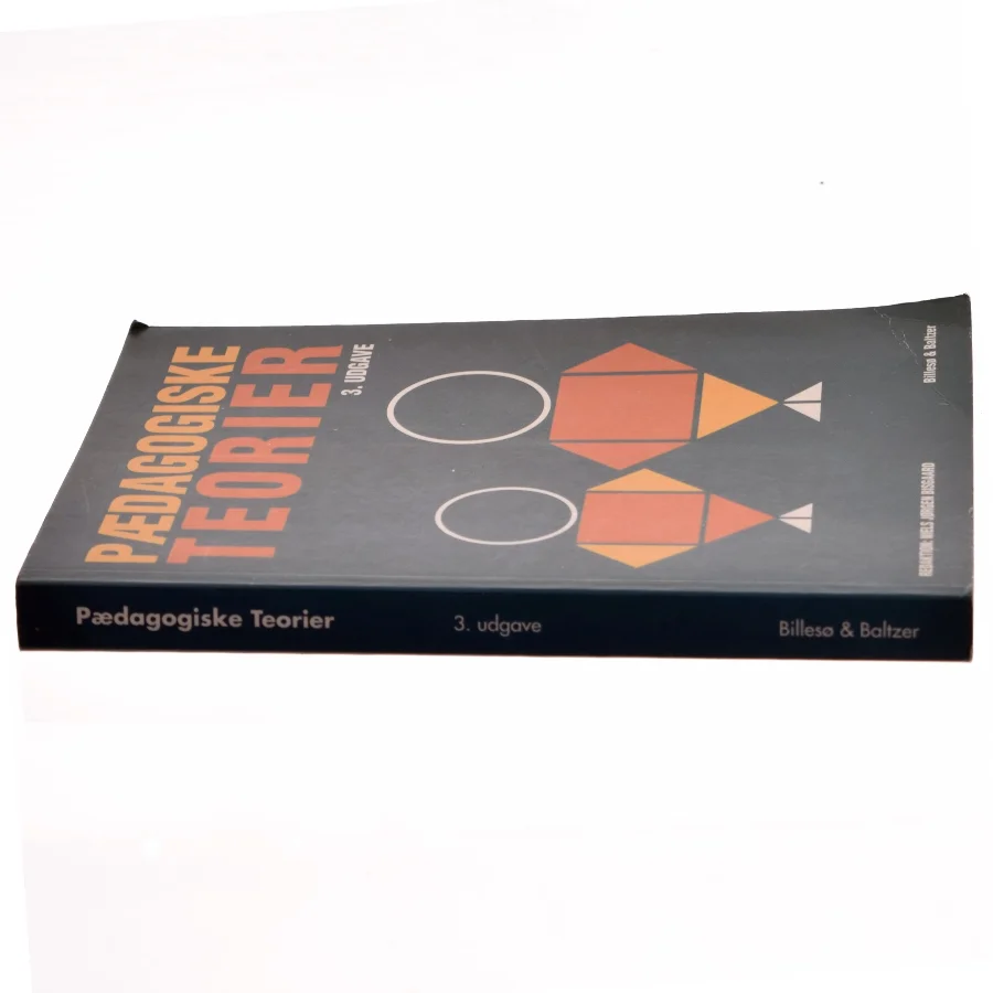 Pædagogiske teorier af Niels Jørgen Bisgaard (Bog)