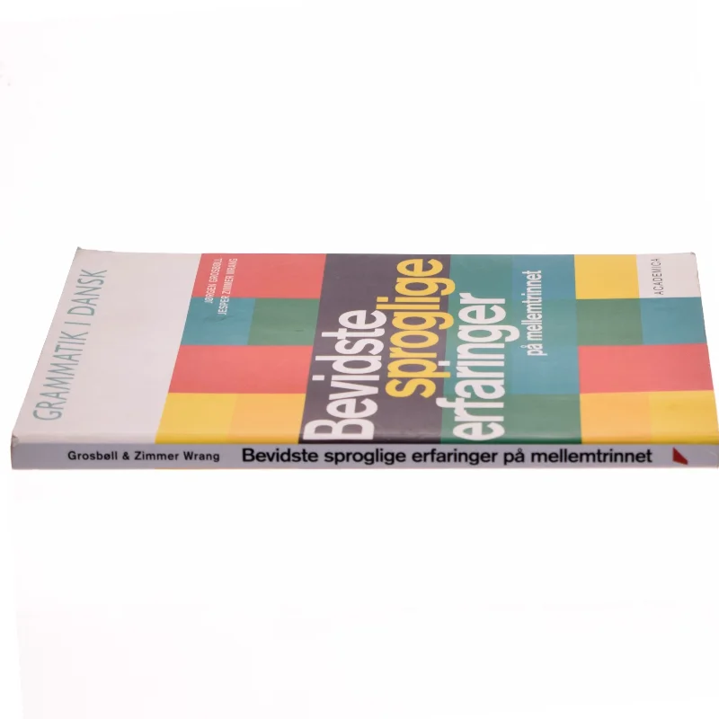 Bevidste sproglige erfaringer på mellemtrinnet af Jørgen Grosbøll (Bog)