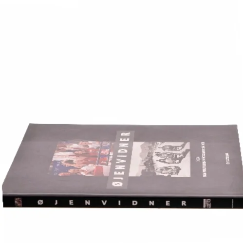 Øjenvidner : 2004 som Politikens fotografer så det (Bog)