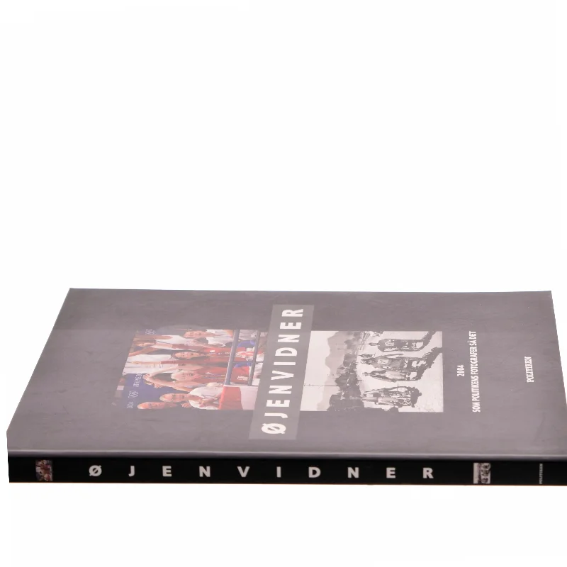 Øjenvidner : 2004 som Politikens fotografer så det (Bog)