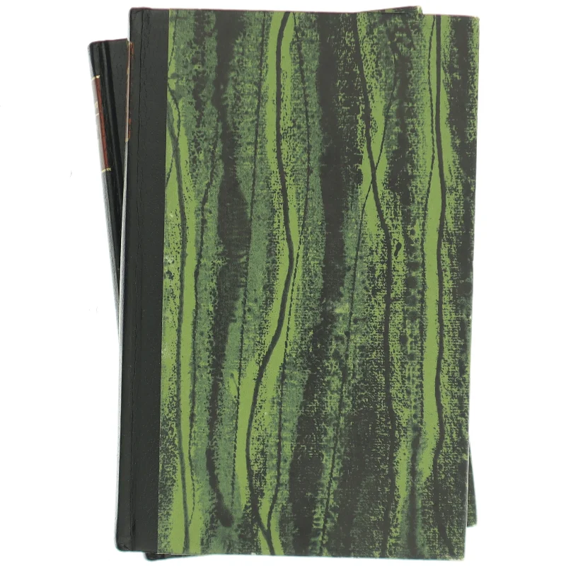 Dublin, Dublin af James Plunkett (Bog)