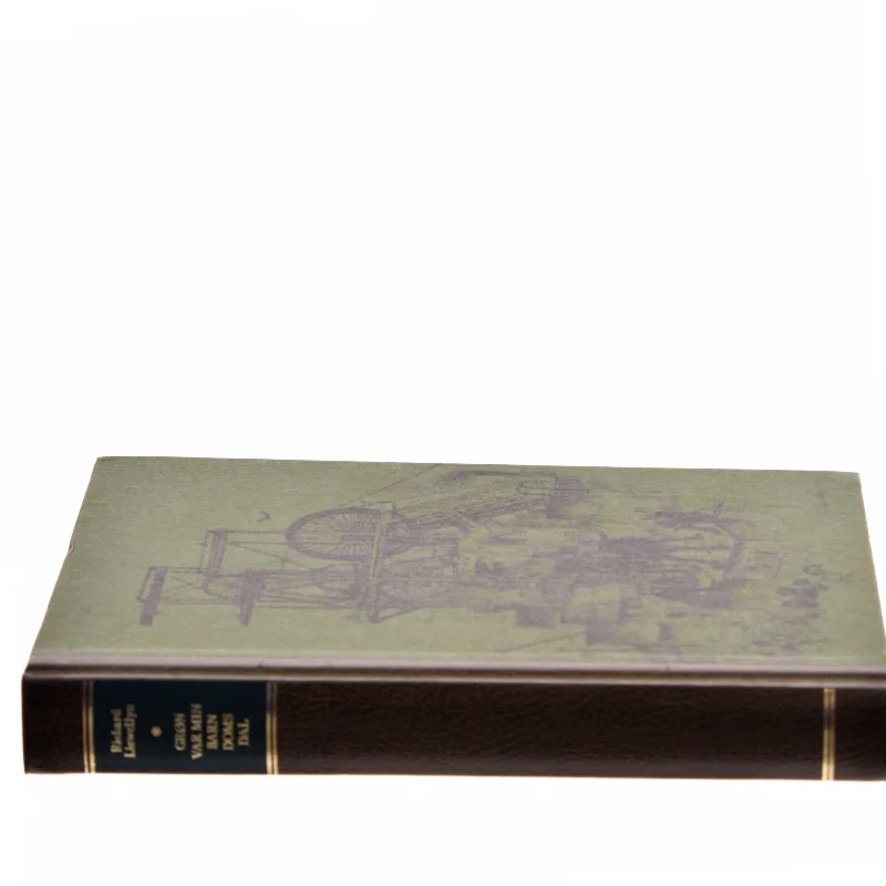 Grøn var min barndoms dal af Richard Llewellyn (Bog)