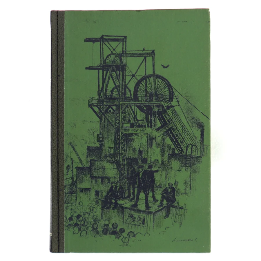 Grøn var min barndoms dal af Richard Llewellyn (Bog)