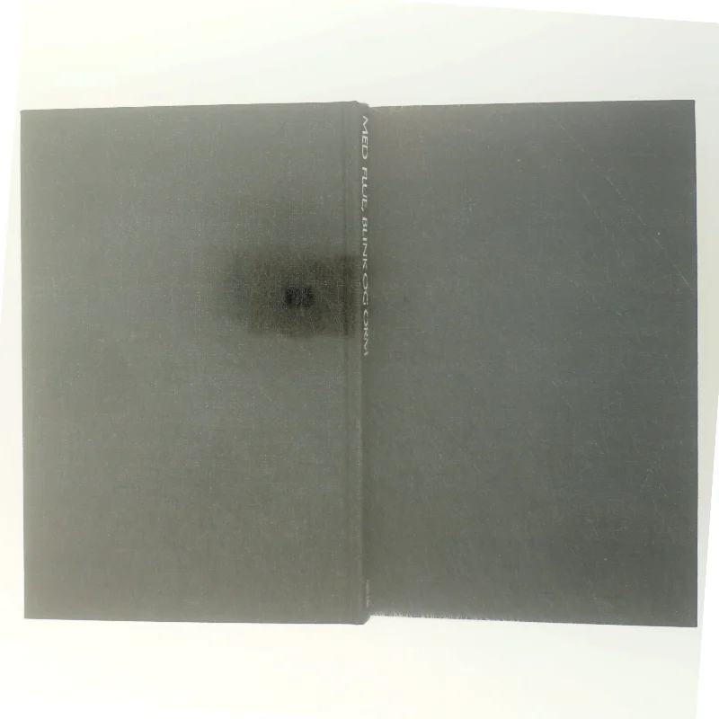 Med flue, blink og orm af Ekkehard Wiederholz (bog)