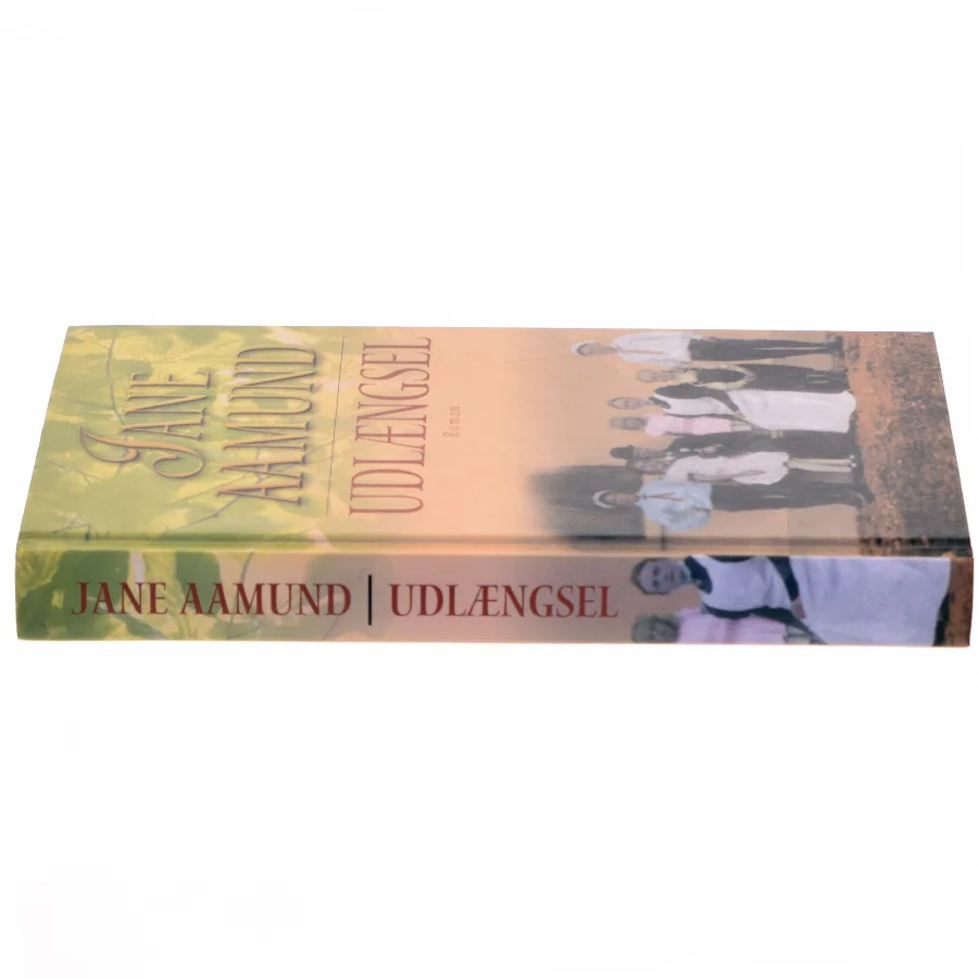 Udlængsel af Jane Aamund (Bog)