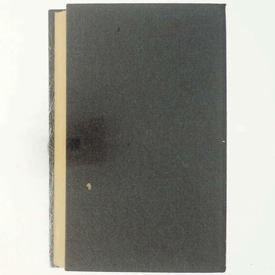 Roman om en forbrydelse, 9.bind, politimorderen