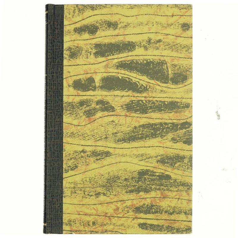 Don Camillo og de vilde engle - Af Giovanni Guareschi