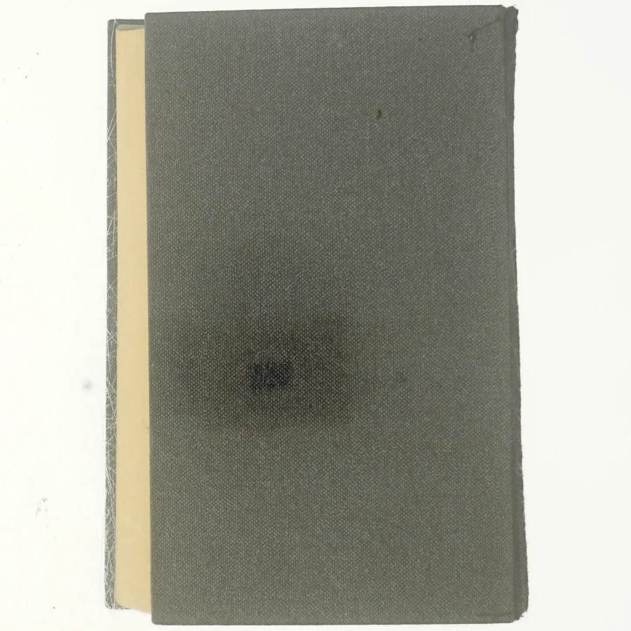 Roman om en frobrydelse