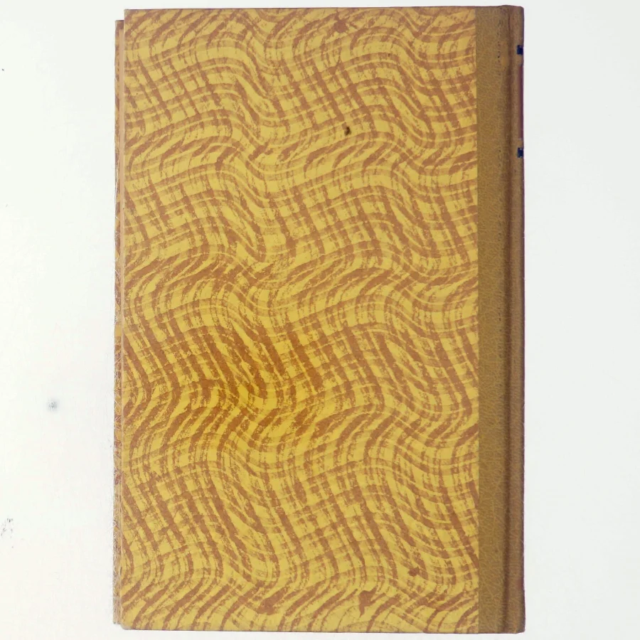 Manden som havde slået ihjel af Poul-Henrik Trampe 